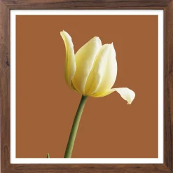 Brązowa ramka na zdjęcia 30x30 cm kwadratowa rama FRAMAI®