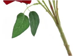 Bukiet róż 55 cm 5 szt. czerwonych
