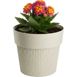Donica plastikowa SILVA LINE beżowa okrągła do domu 13,2 cm