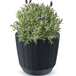 Doniczka Osłonka Domowa 12,6 Cm Ryfo Na Stół Parapet Do Domu Antracytowa