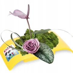 Doniczka Osłonka Donica Ikebana Kolory Kompozycja