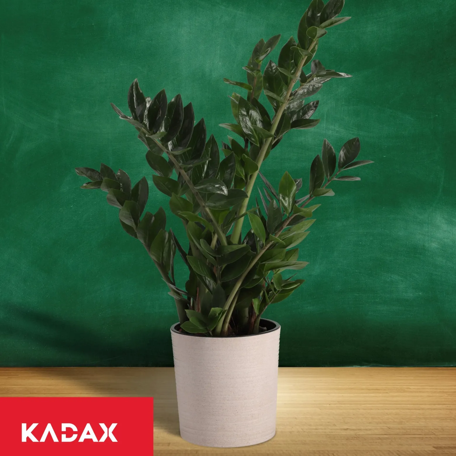Doniczka Osłonka Donica Misa Na Kwiaty Kolory 19cm