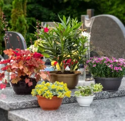 Doniczka Osłonka Donica Na Kwiaty 18cm Kolory Misa