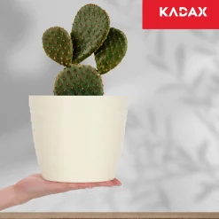 Doniczka Osłonka Donica Na Kwiaty 17cm Kolory