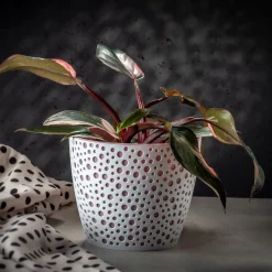 Doniczka Osłonka Okrągła Na Kwiaty Różowa 11cm