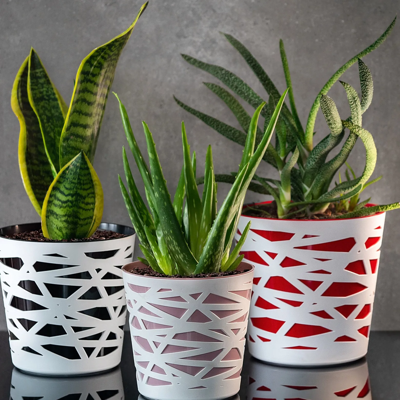 Doniczka Osłonka Wkład Donica Kolory Czarna 15cm