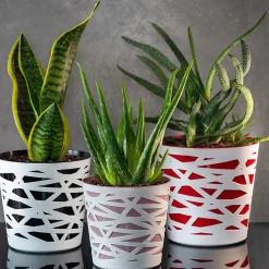 Doniczka Osłonka Wkład Donica Kolory Czerwona 19cm