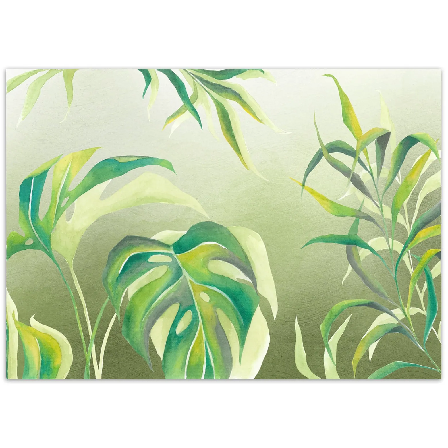 Feeby Fototapeta, Liście Monstera 150x105