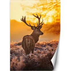 Feeby Fototapeta, Jeleń o zachodzie słońca 100x140