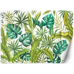 Feeby Fototapeta, Liście Monstera 150x105