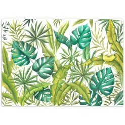 Feeby Fototapeta, Liście Monstera 150x105