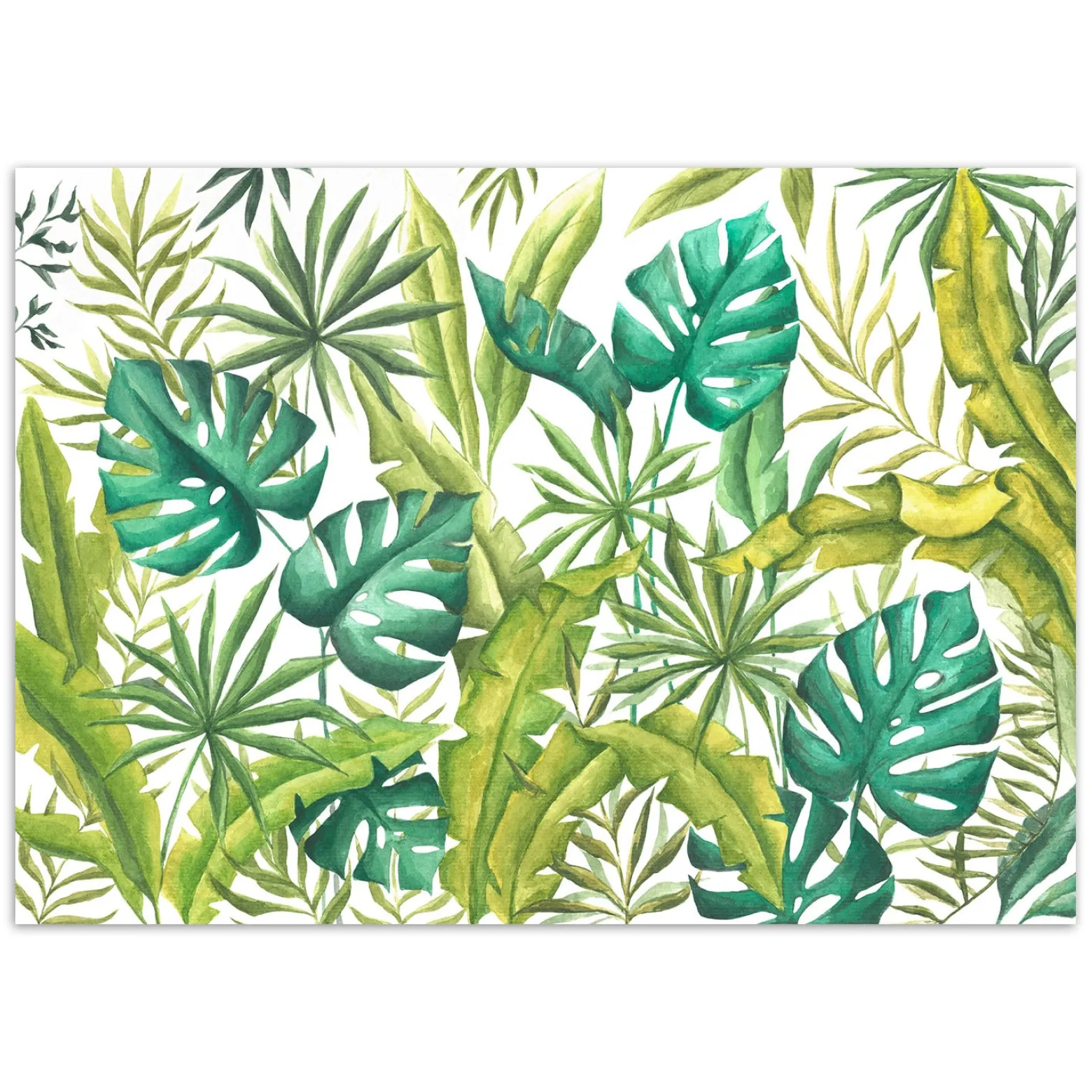 Feeby Fototapeta, Liście Monstera 150x105