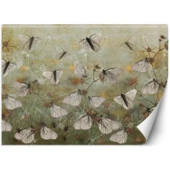 Feeby Fototapeta, Motyle na tle starego muru 150x105