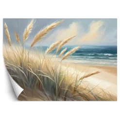 Feeby Fototapeta Plaża morska Przyroda