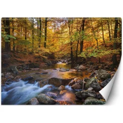 Feeby Fototapeta, Potok górski w lesie 150x105