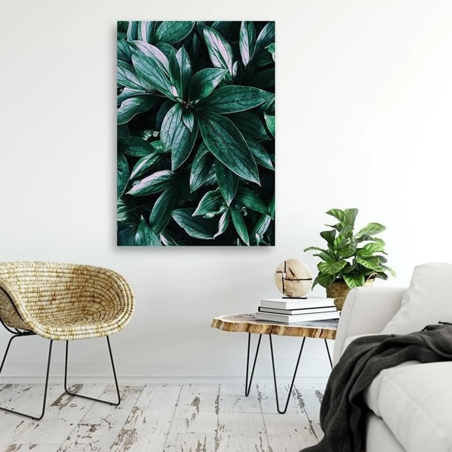 Feeby Obraz Liście tropikalnych roślin 40x60