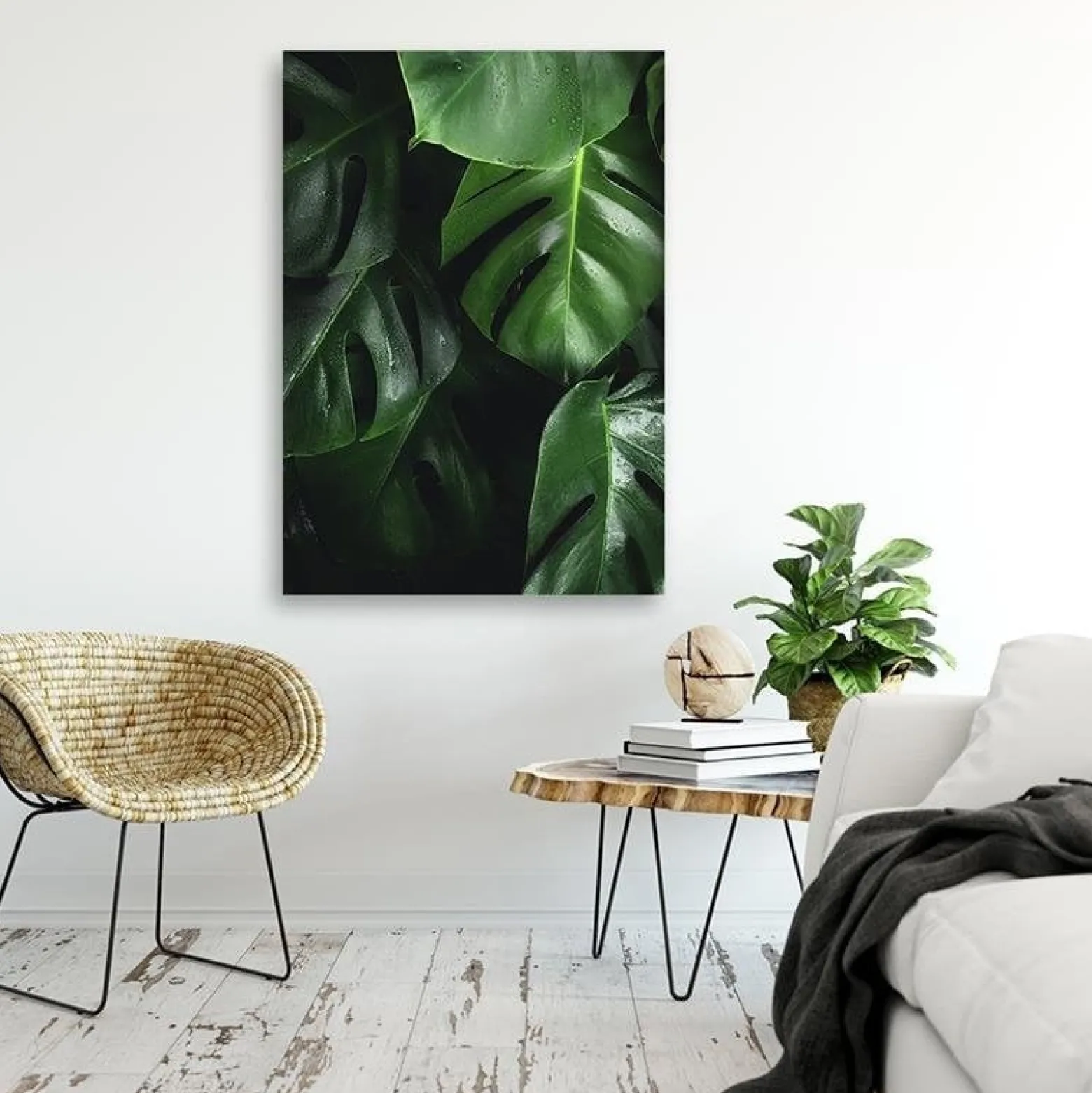 Feeby Obraz na płótnie Monstera liście 40x60