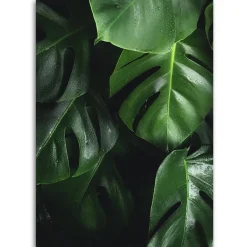 Feeby Obraz na płótnie Monstera liście 40x60