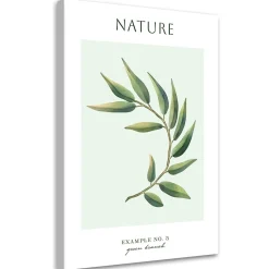 Feeby Obraz na płótnie, Zielona gałązka - Natura 40x60