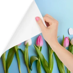 Fototapeta Dekoracyjna TULIPANY Serca 3D 90x60cm