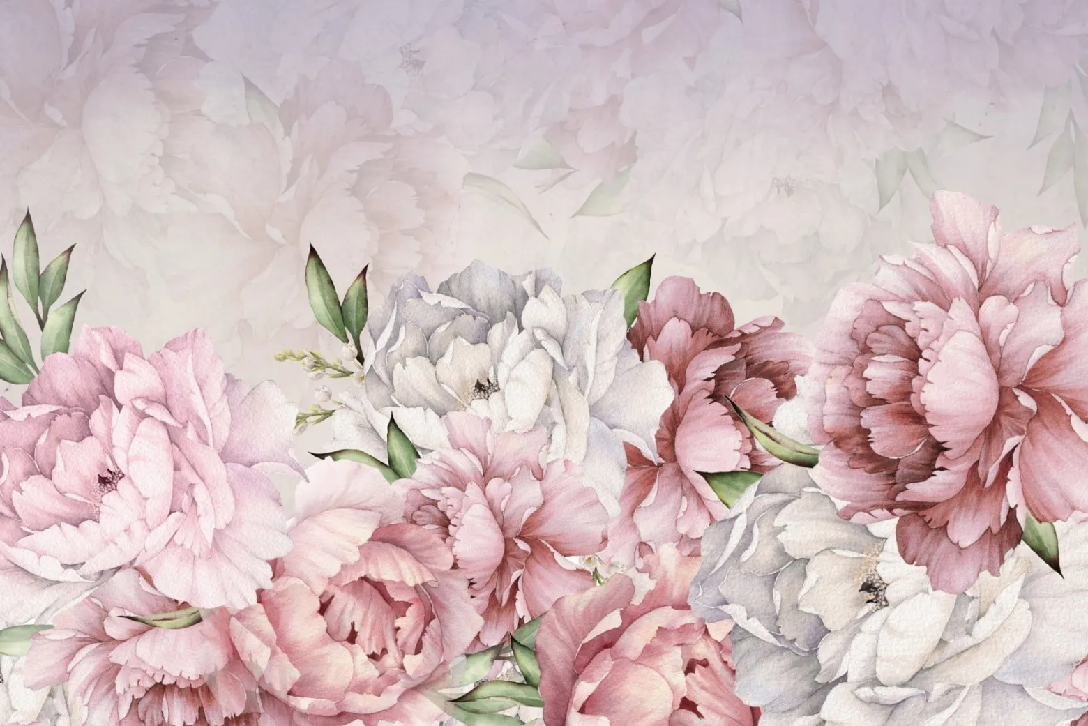 Fototapeta Klasyczne Piwonie Peonie 90x60cm
