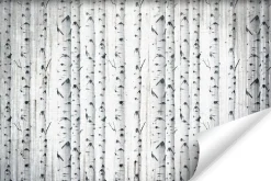 Fototapeta Las Brzozowy W Stylu Vintage 90x60cm