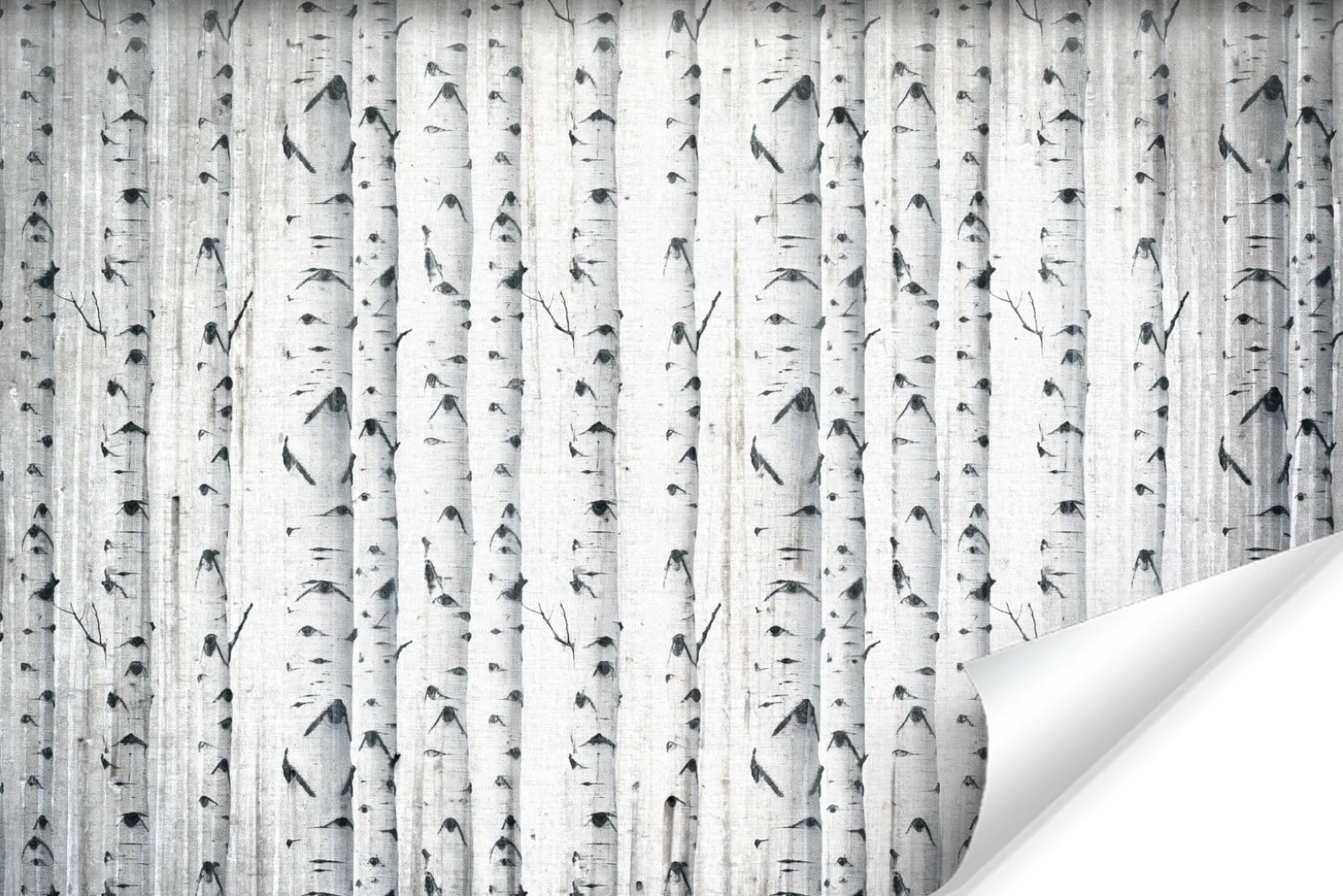 Fototapeta Las Brzozowy W Stylu Vintage 90x60cm