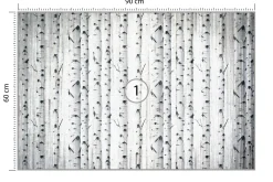 Fototapeta Las Brzozowy W Stylu Vintage 90x60cm