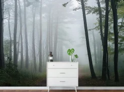 Fototapeta Las Natura Krajobraz Sypialnia Salon Tapeta Flizelina 250X175