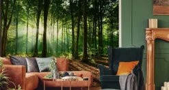 Fototapeta LAS W Promieniach Słońca Natura 90x60cm