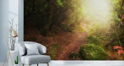 Fototapeta Pejzaż LEŚNY Słońce Mech Natura 90x60cm
