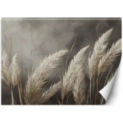 Fototapeta, trawa, natura, botanika, beżowy
