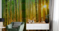 Fototapeta Wschód SŁOŃCA Las Bambusowy 90x60cm