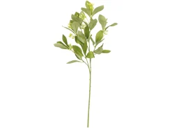 Gałązka ozdobna Laurowiśnia 66 cm