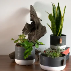 Kadax Doniczka Ceramiczna 16cm Osłonka Szara Biała