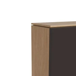 Komoda biurowa Fokus 2OH Dąb Olejowany