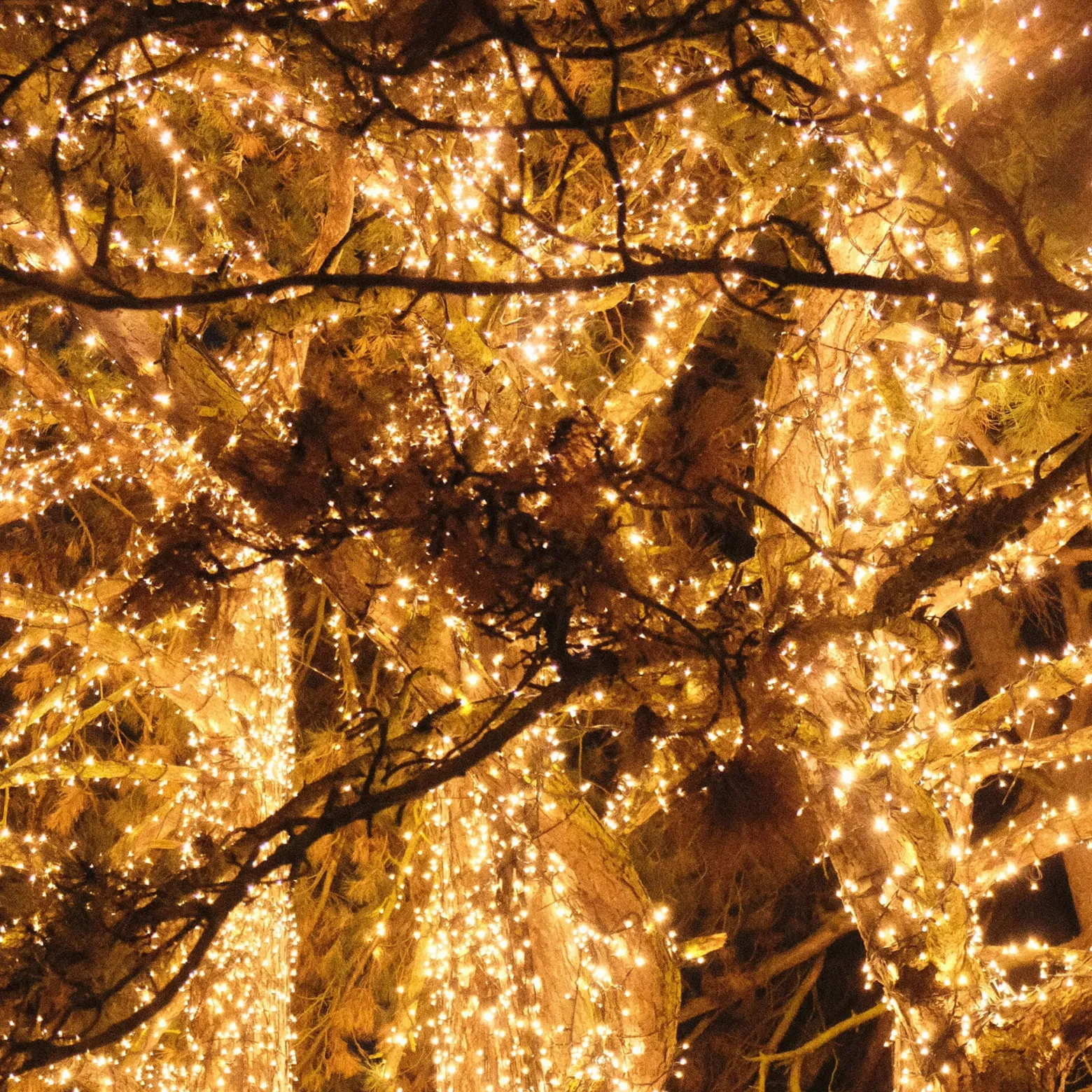 Lampki choinkowe 200 LED 12,5 m biały ciepły zewnętrzne
