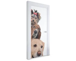 Naklejka na drzwi Trzy psy razem 75x205 cm Fototapeta