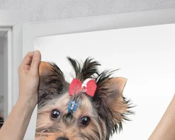 Naklejka na drzwi Trzy psy razem 75x205 cm Fototapeta