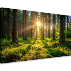 Obraz do salonu sypialni biura, Las drzewa wschód słońca 80x40