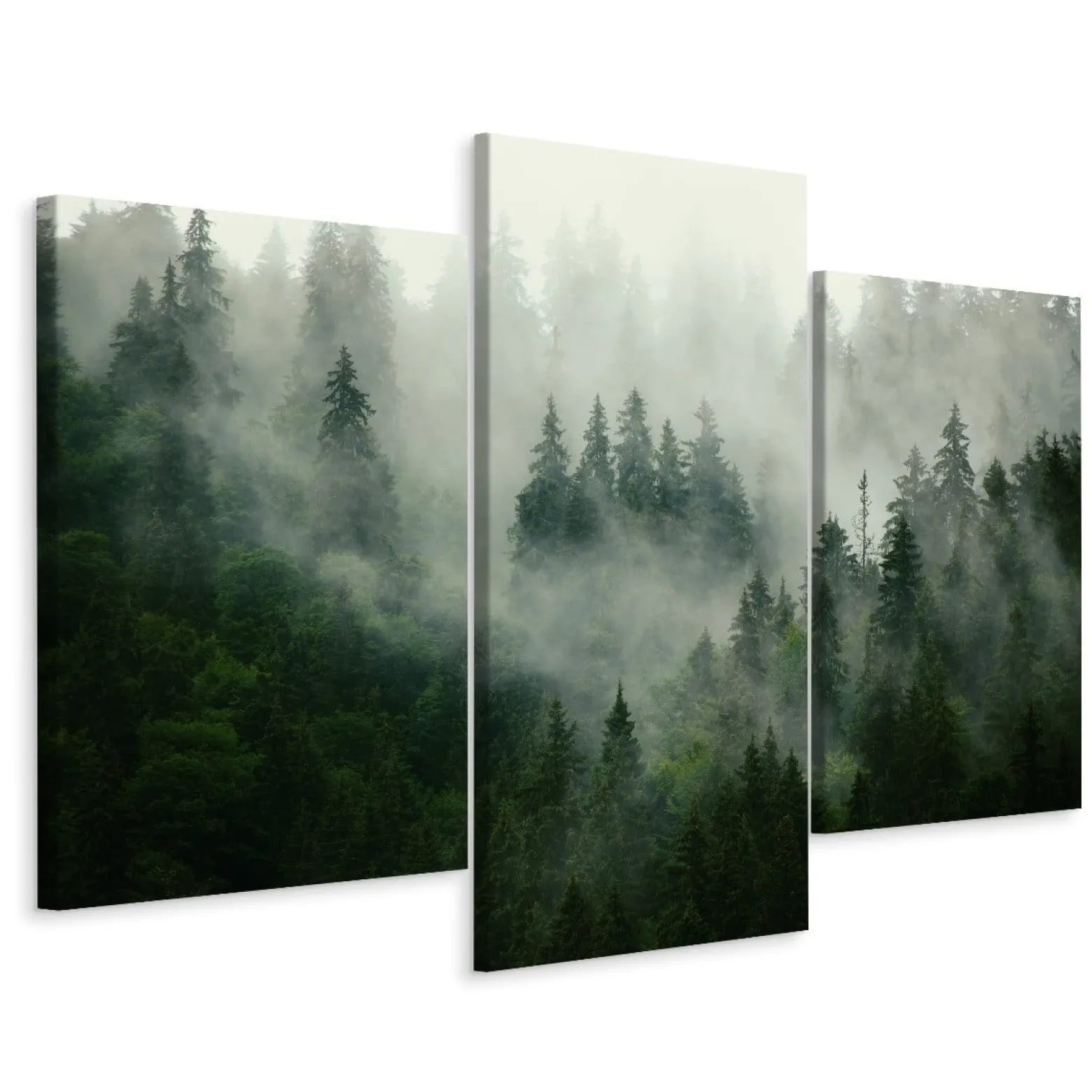 Obraz Ścienny Tryptyk LAS WE MGLE Efekt 3D 60x40cm