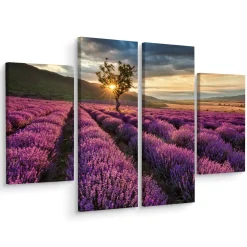 Obraz 4-Częściowy Pole LAWENDY Pejzaż 3D 80x60cm