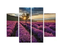 Obraz 4-Częściowy Pole LAWENDY Pejzaż 3D 80x60cm