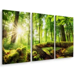 Obraz 3-Częściowy Widok Na Słoneczny Las 3D 60x40cm
