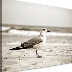 Obraz do salonu kuchni biura, Mewa ptak morze plaża natura 30x20