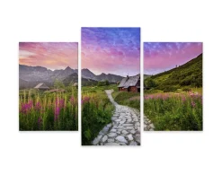 Obraz TRYPTYK Tatry Rośliny Ścieżka Pejzaż 60x40cm