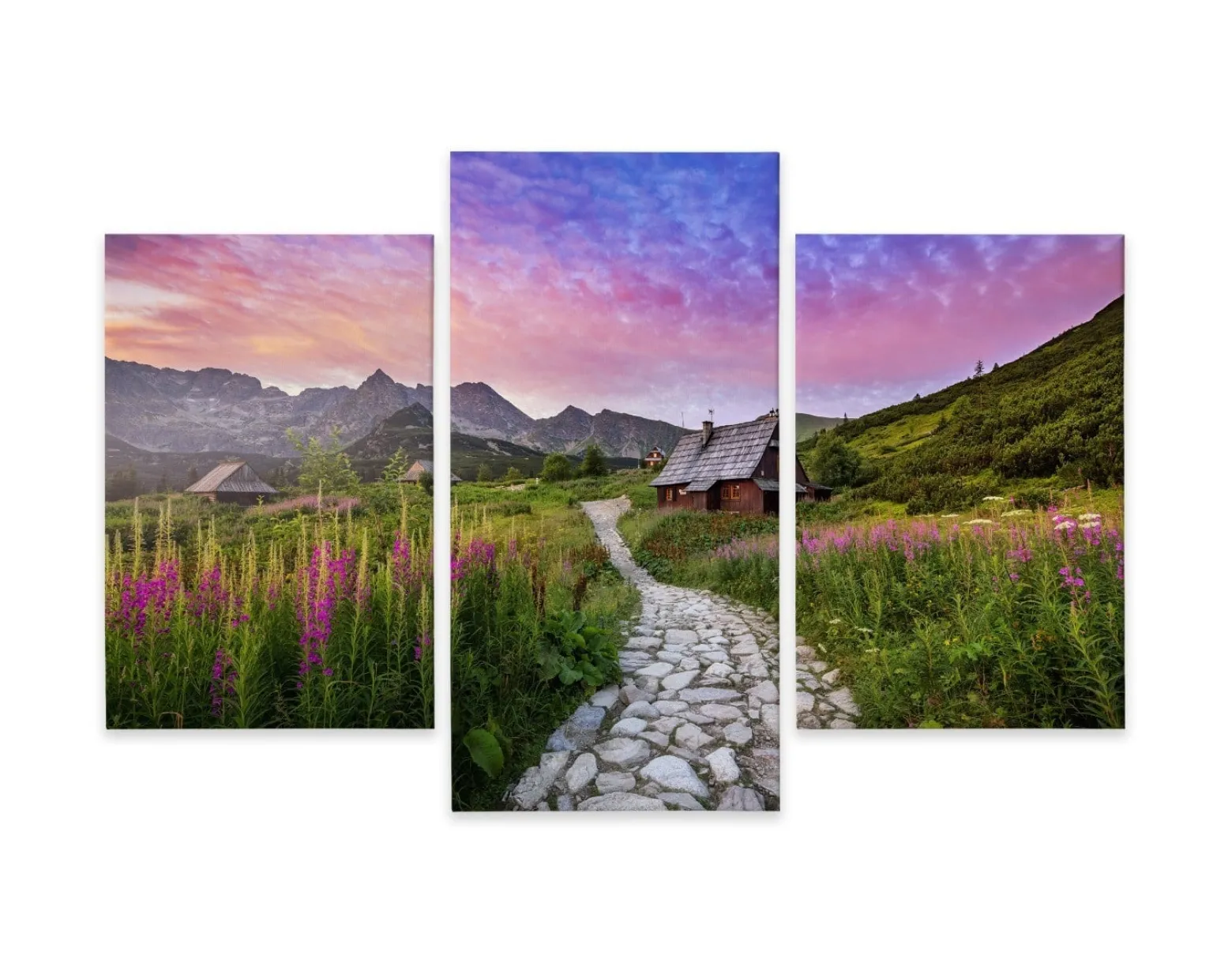 Obraz TRYPTYK Tatry Rośliny Ścieżka Pejzaż 60x40cm