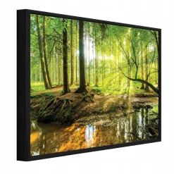 Obraz W Ramie Las Zielony Na Płótnie Do Sypialni Salonu 60x40