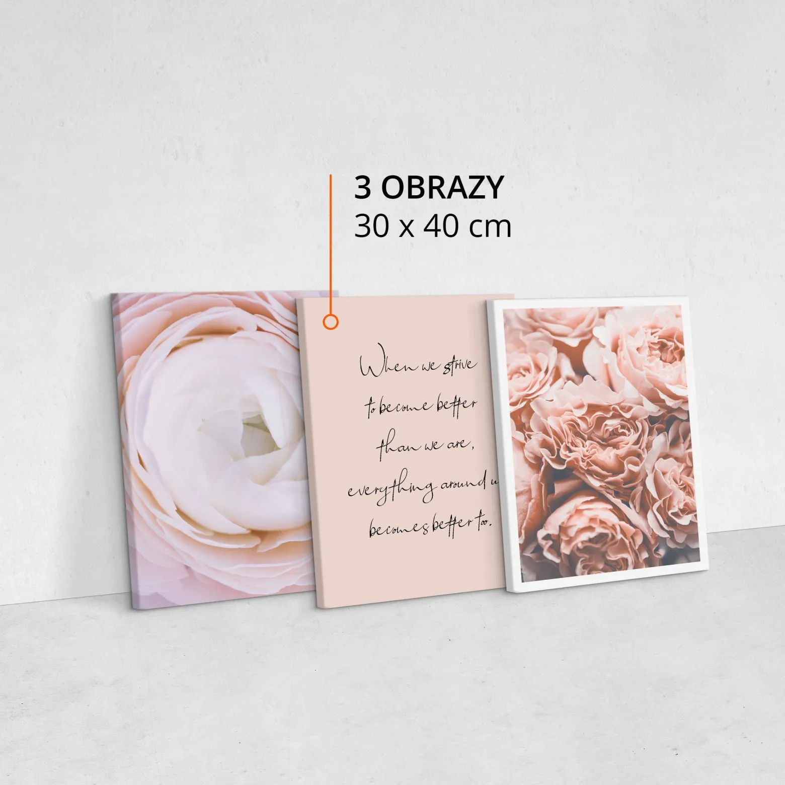 Obrazy Do Salonu Canvas Delikatne Piwonie