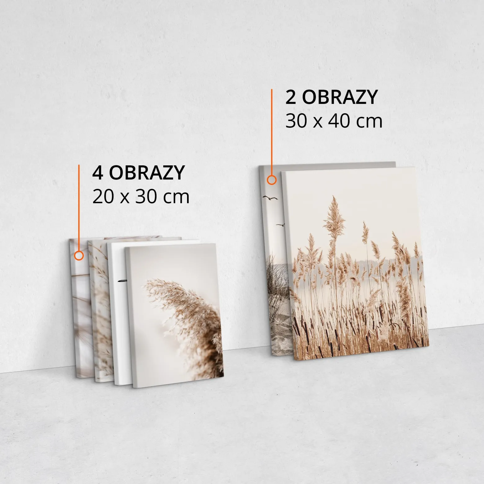 Obrazy Morze Plaża Rośliny Napisy Styl Boho